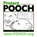 Project Pooch